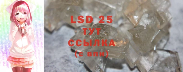 PSILOCYBIN Бикин