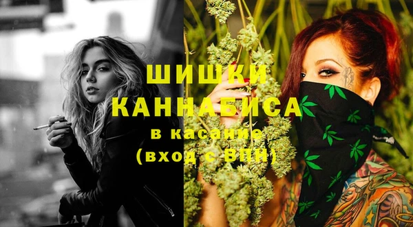 дмт Бронницы