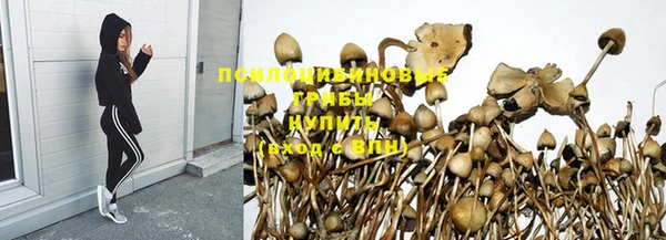 PSILOCYBIN Бикин